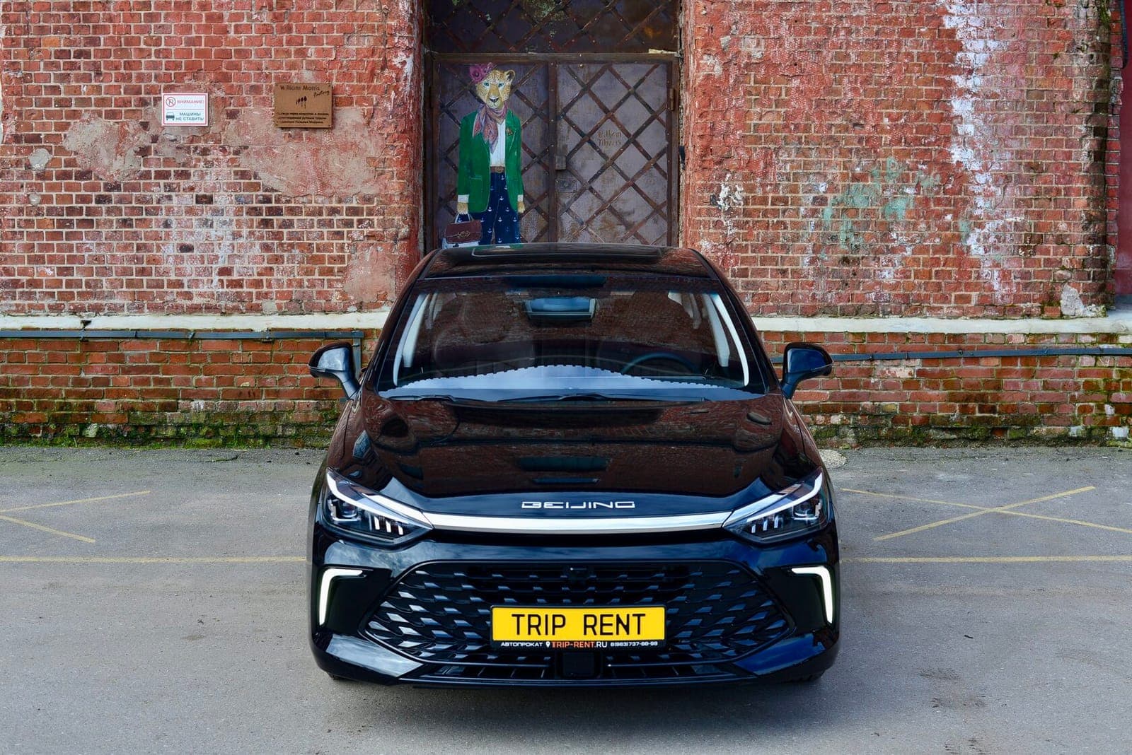 BAIC U5 Plus фото 4