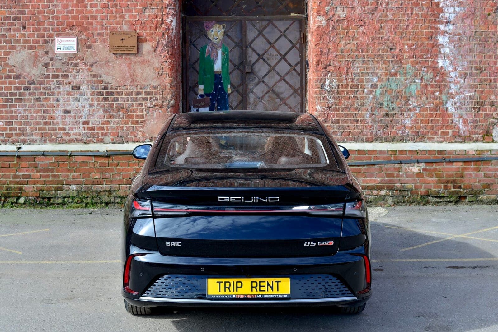 BAIC U5 Plus фото 5