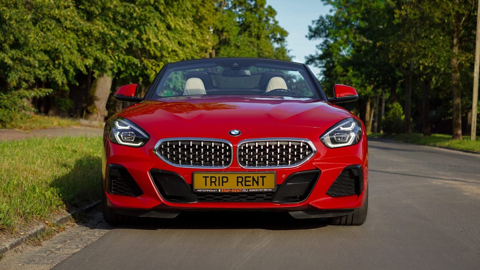 BMW Z4 фото 2