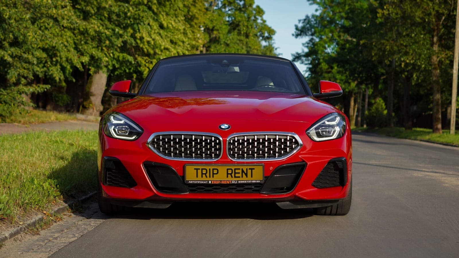 BMW Z4 фото 3