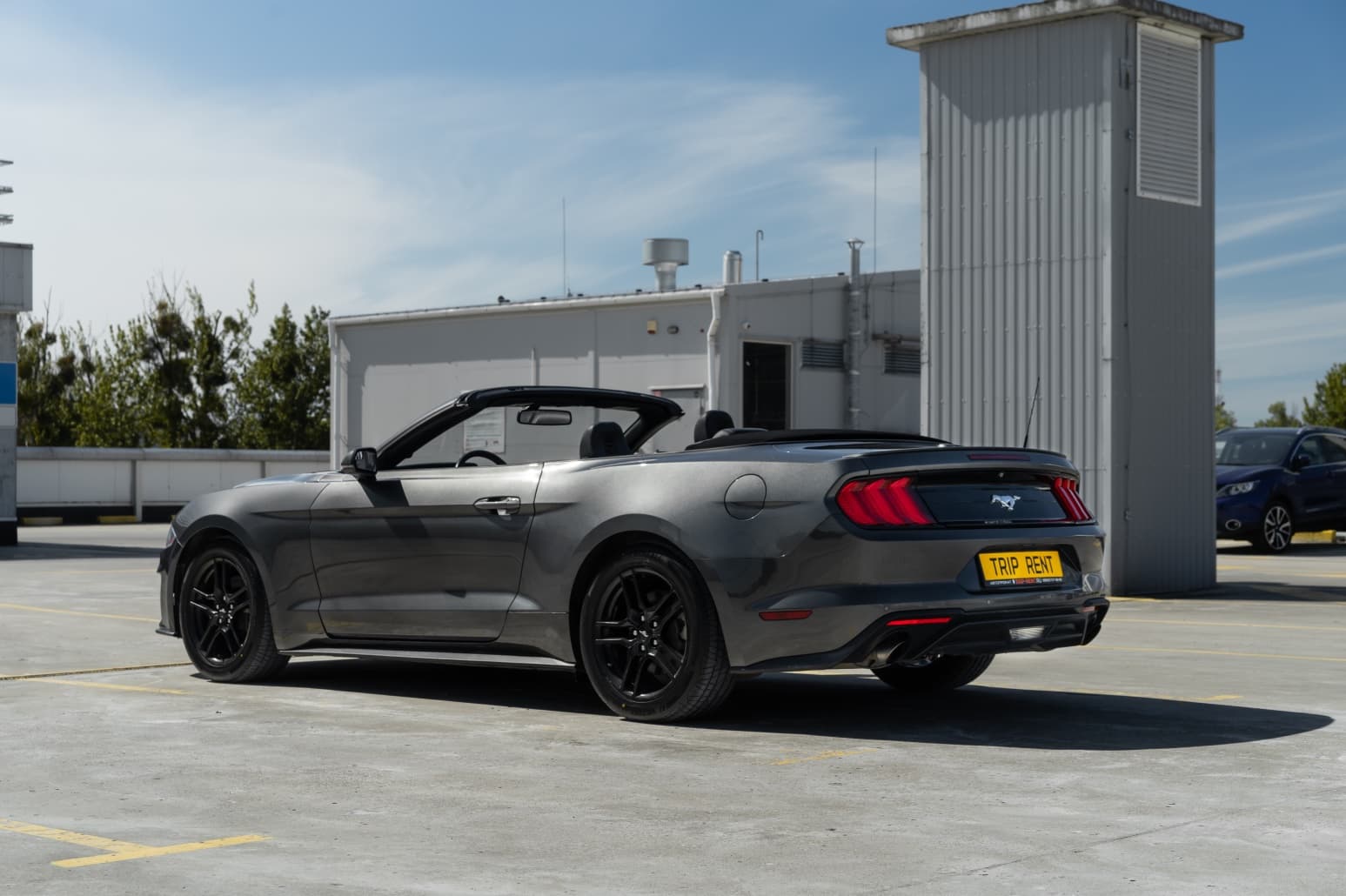 Ford Mustang фото 10