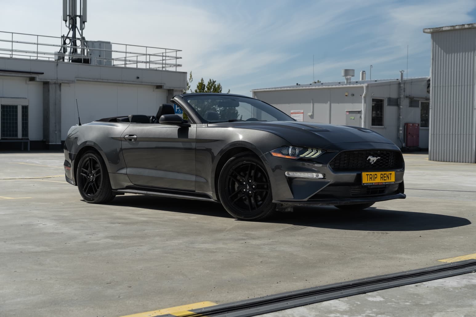 Ford Mustang фото 11
