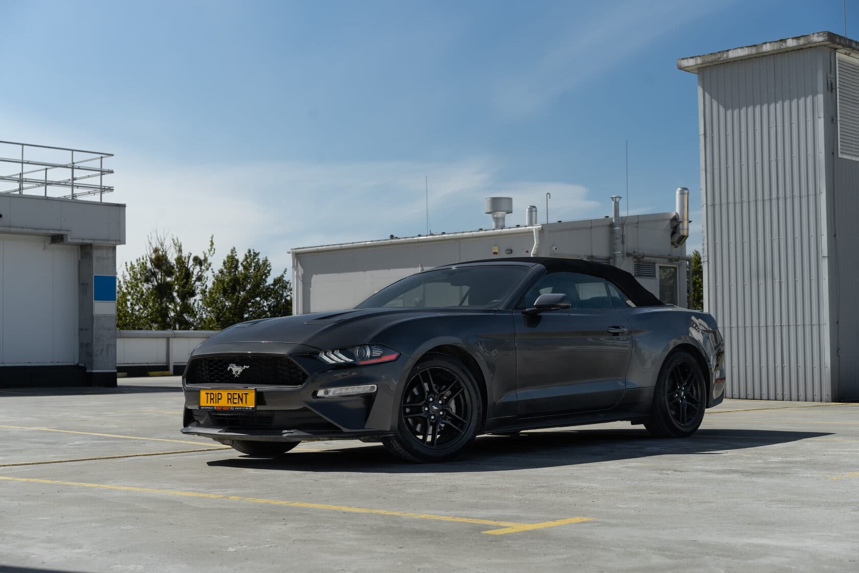Ford Mustang фото 2