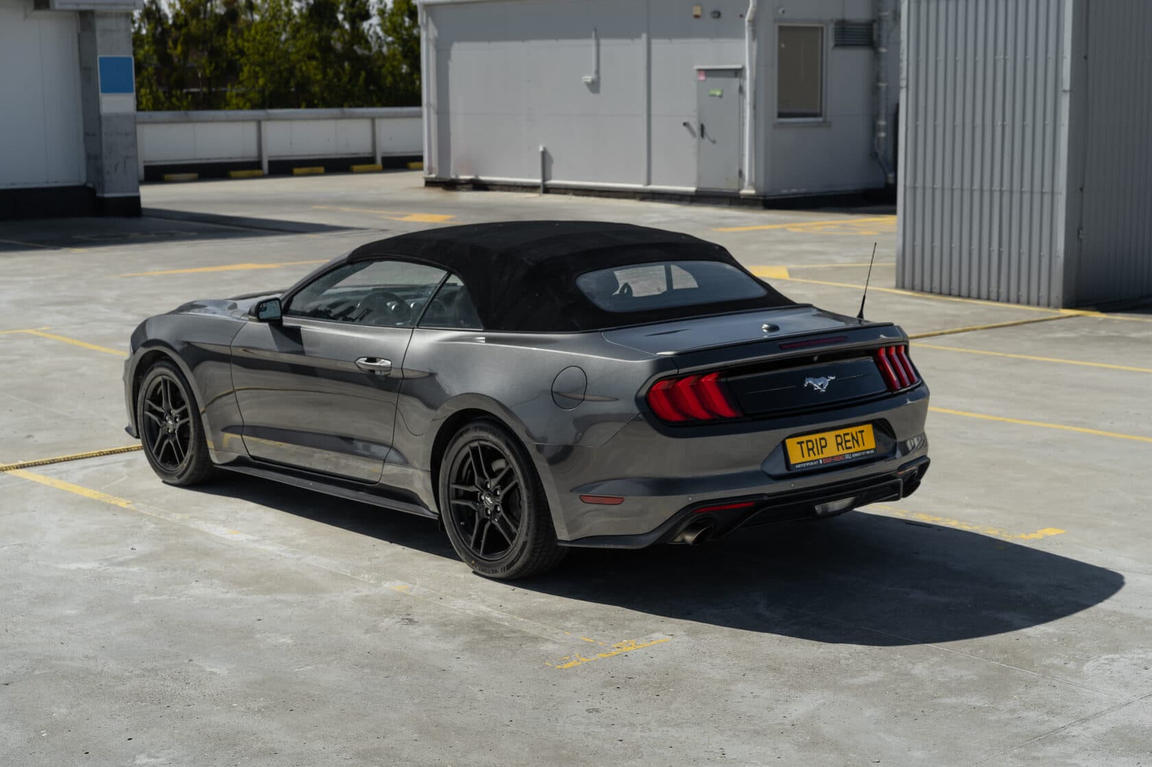 Ford Mustang фото 5