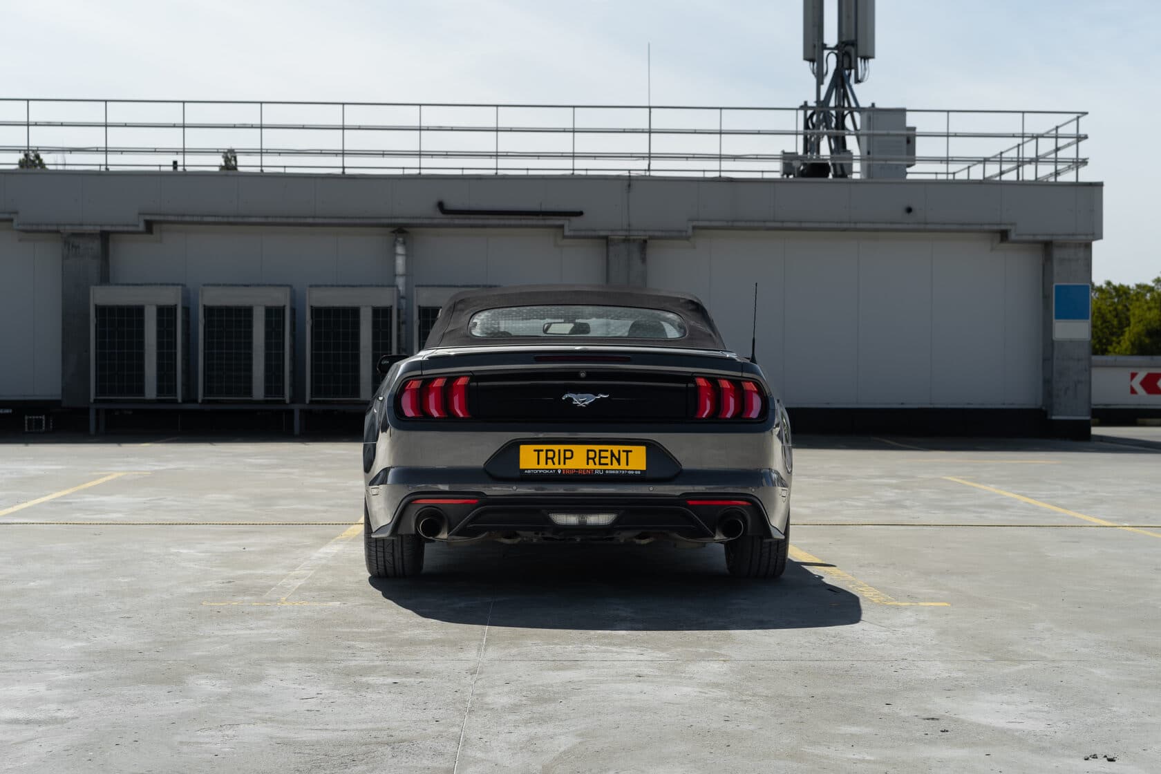 Ford Mustang фото 6