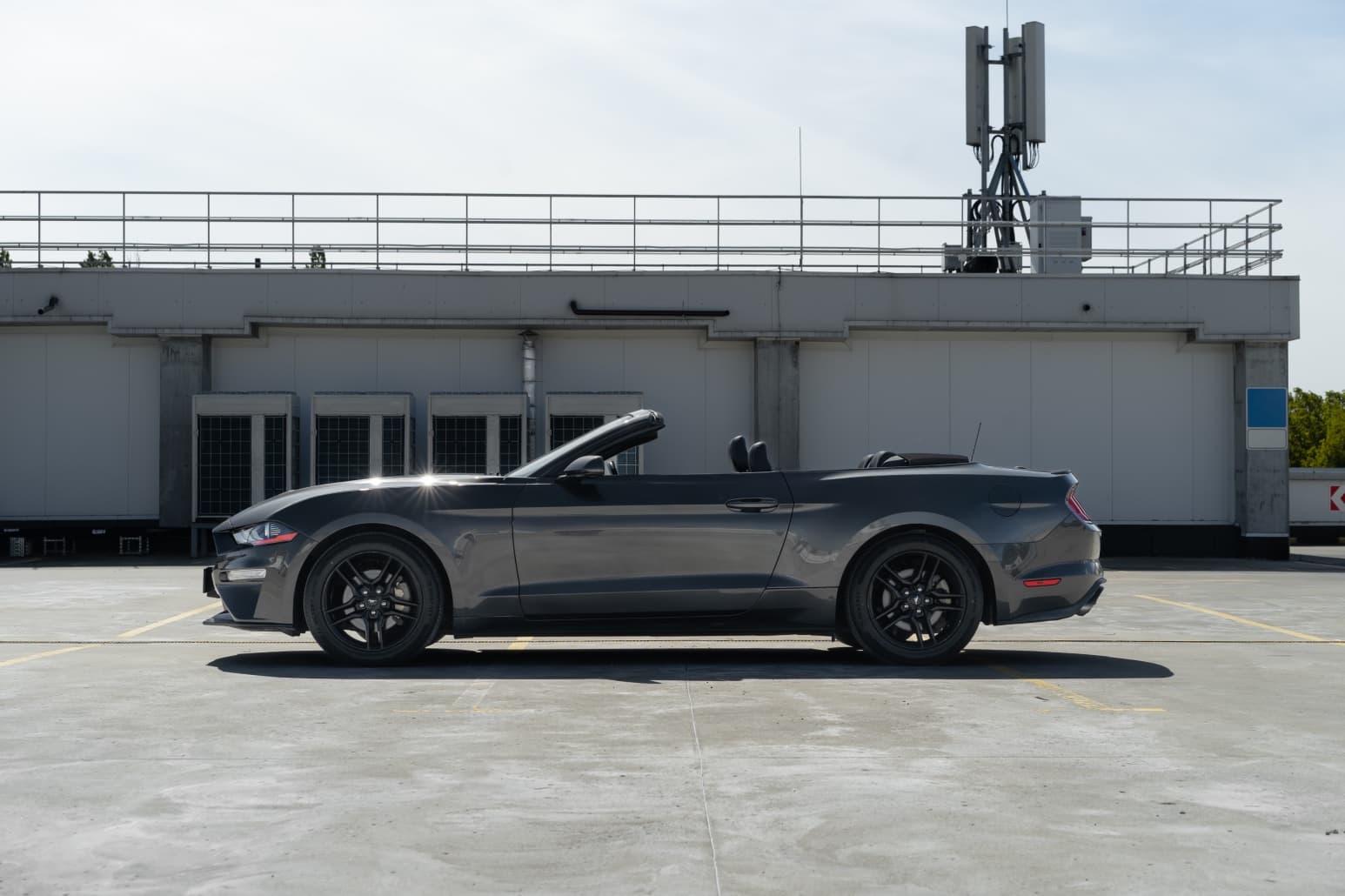Ford Mustang фото 8