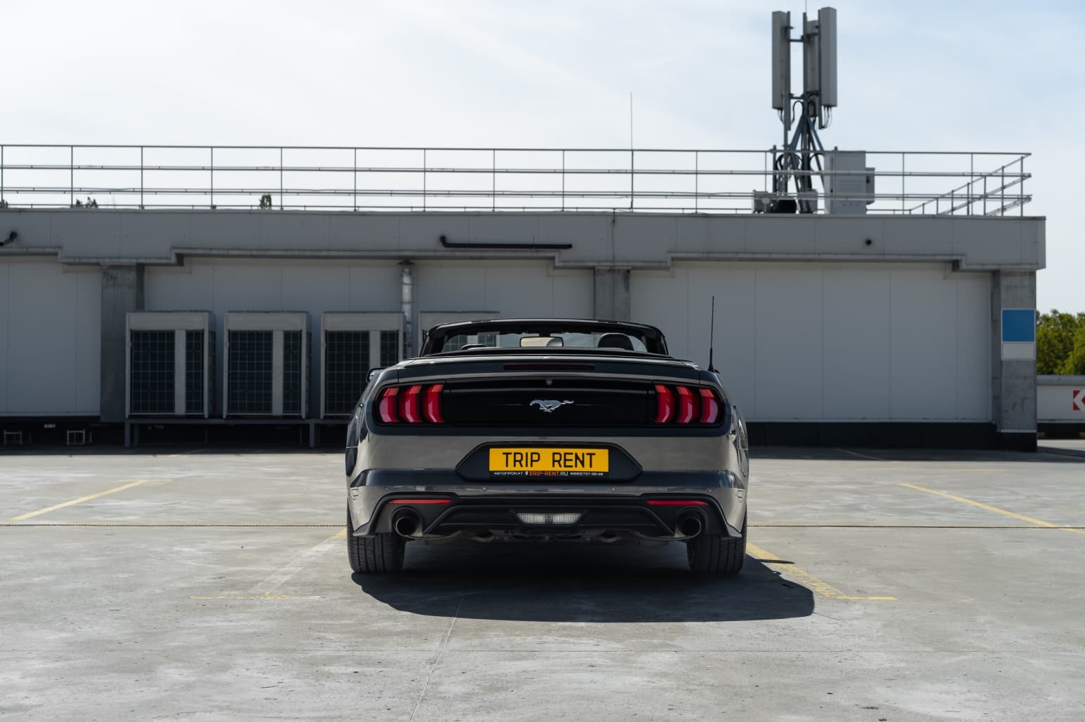 Ford Mustang фото 9