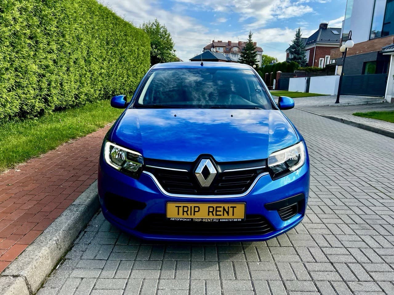 Renault Sandero фото 3