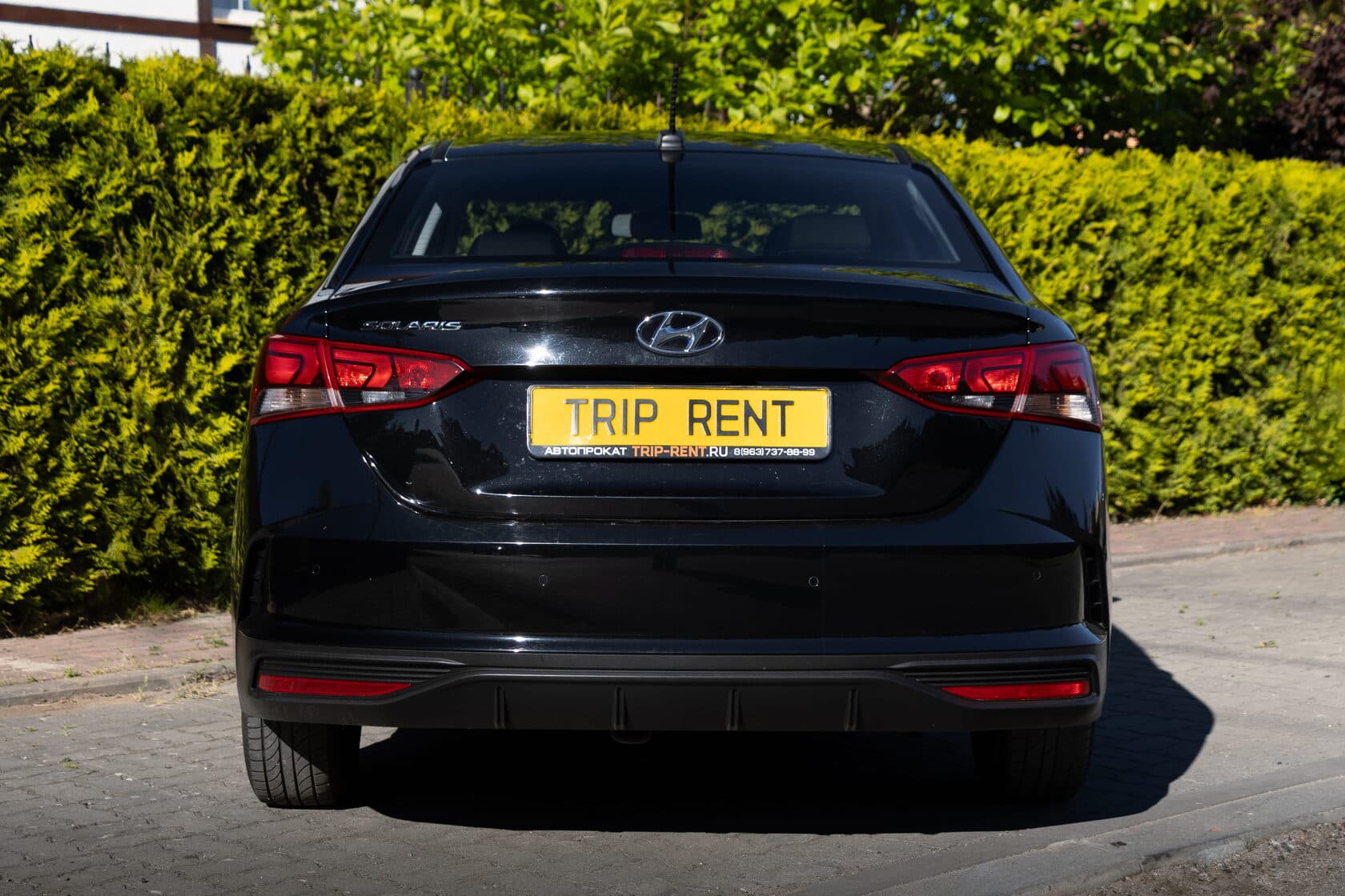 Hyundai Solaris фото 8