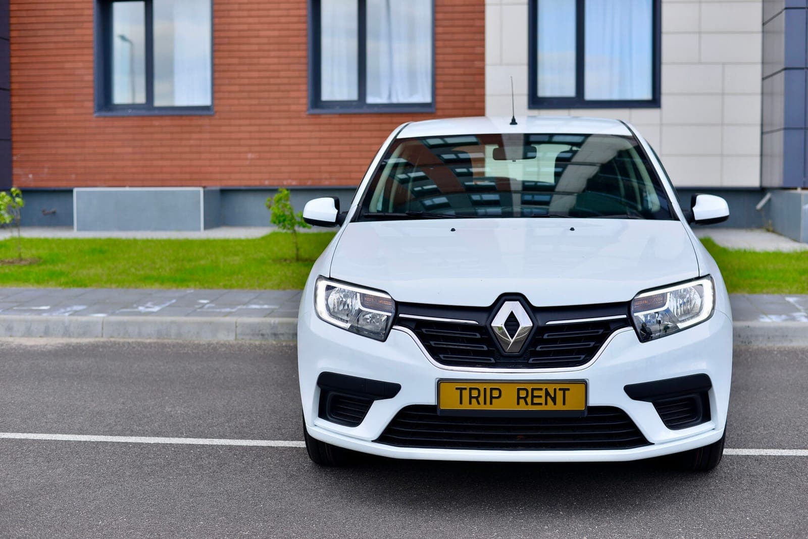 Renault Sandero фото 3