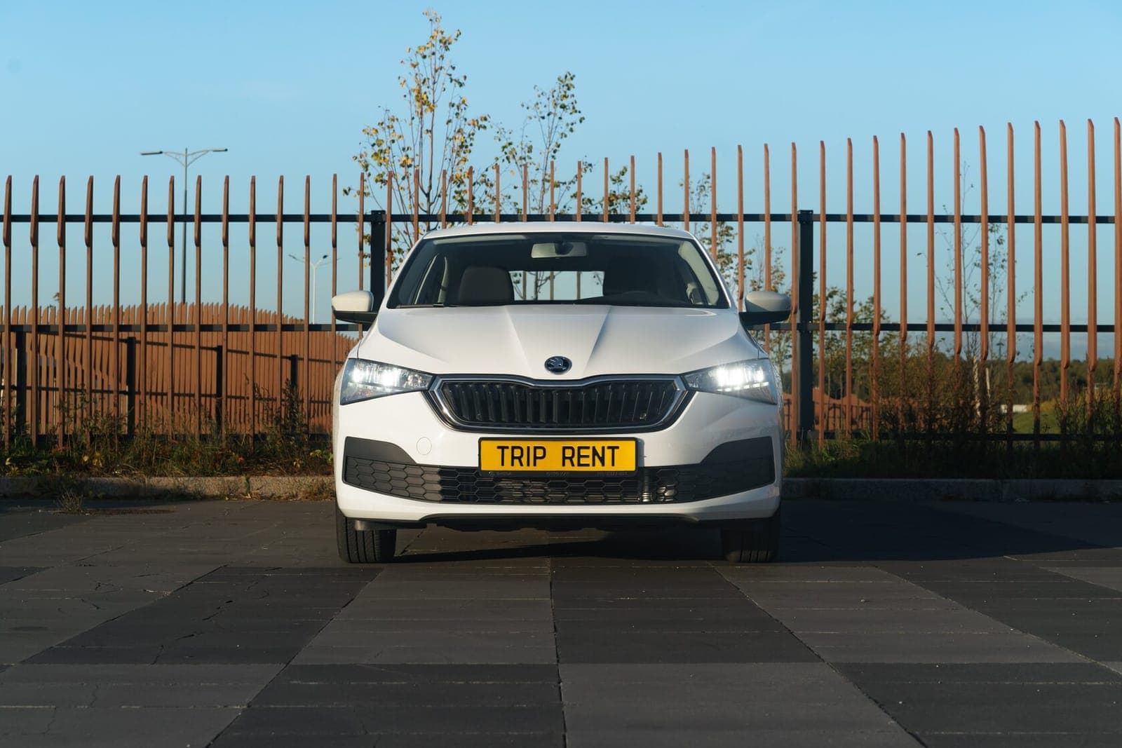 Skoda Rapid фото 2